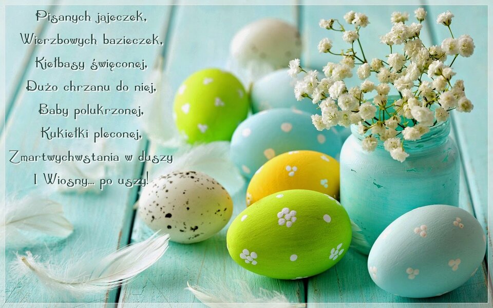 IMG-20230409-WA0010.jpg - mis34wro