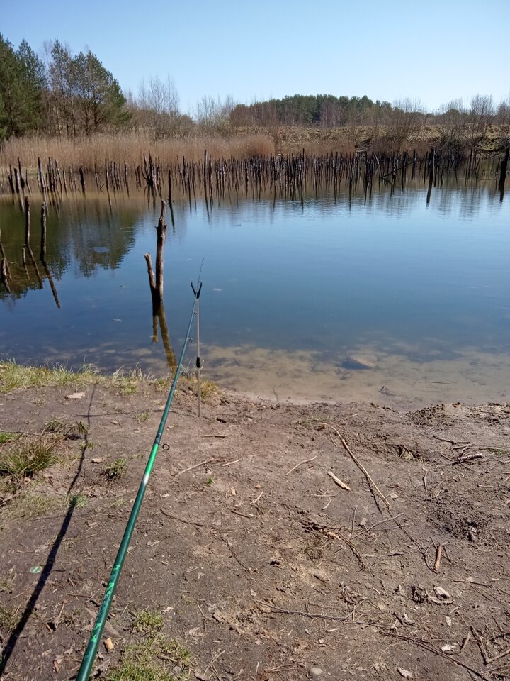 IMG_20230410_132834_669.jpg - rafi07