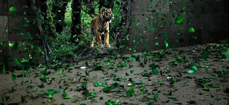 67676767.jpg - MANTIS20