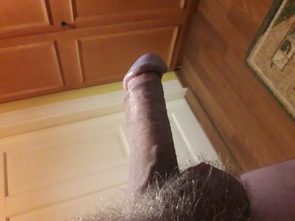 20230402_060254.jpg - brus13