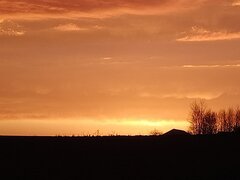 IMG20230324180354.jpg