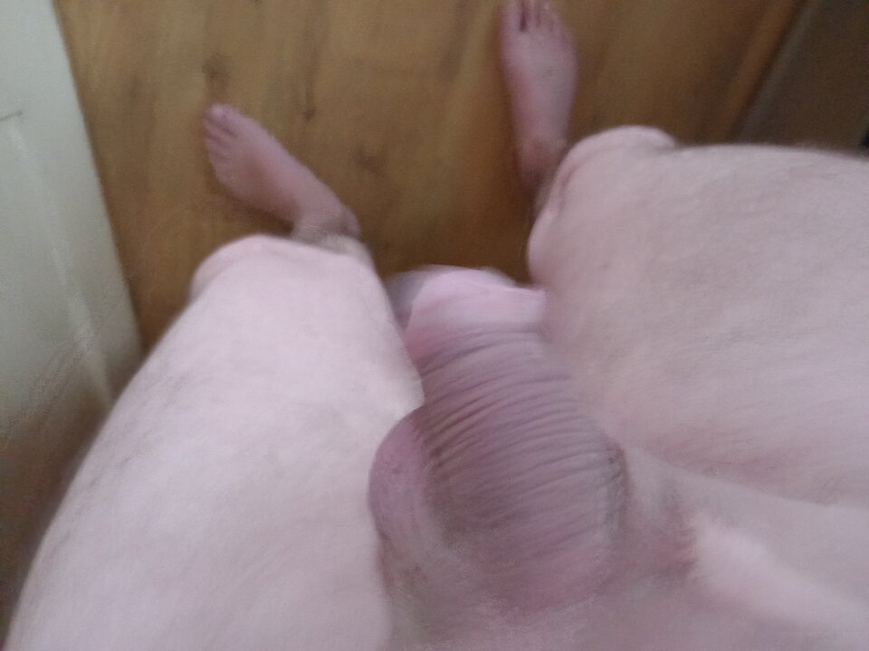 20230414_125330.jpg - Pawcio52