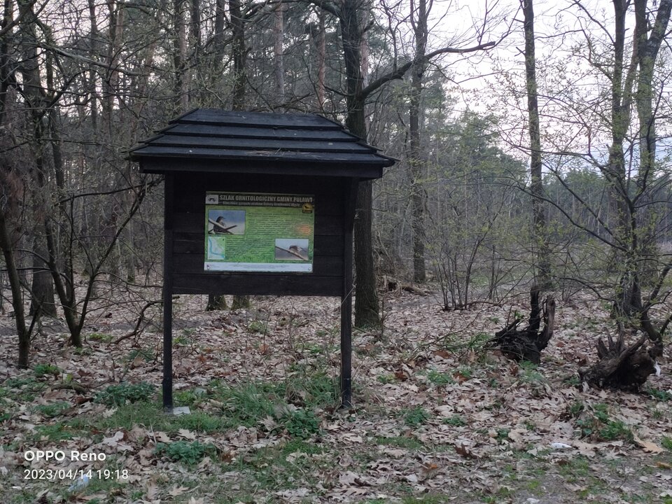 IMG20230414191826.jpg - alter_lu