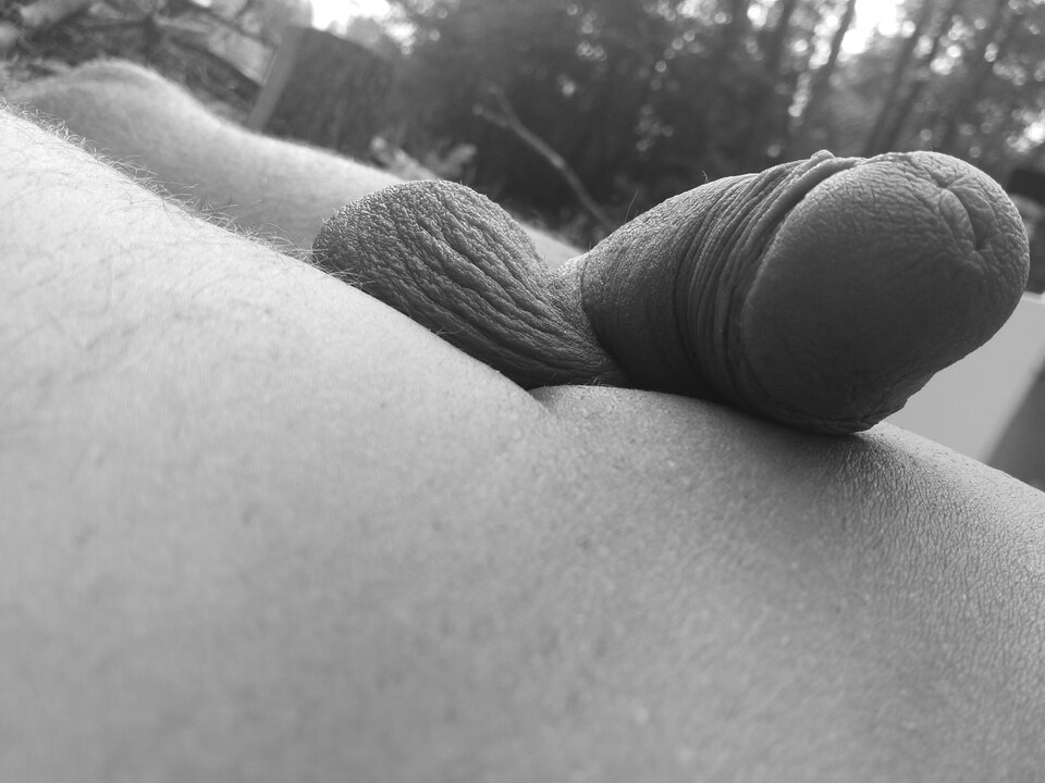 20180609_175902.jpg - michal553