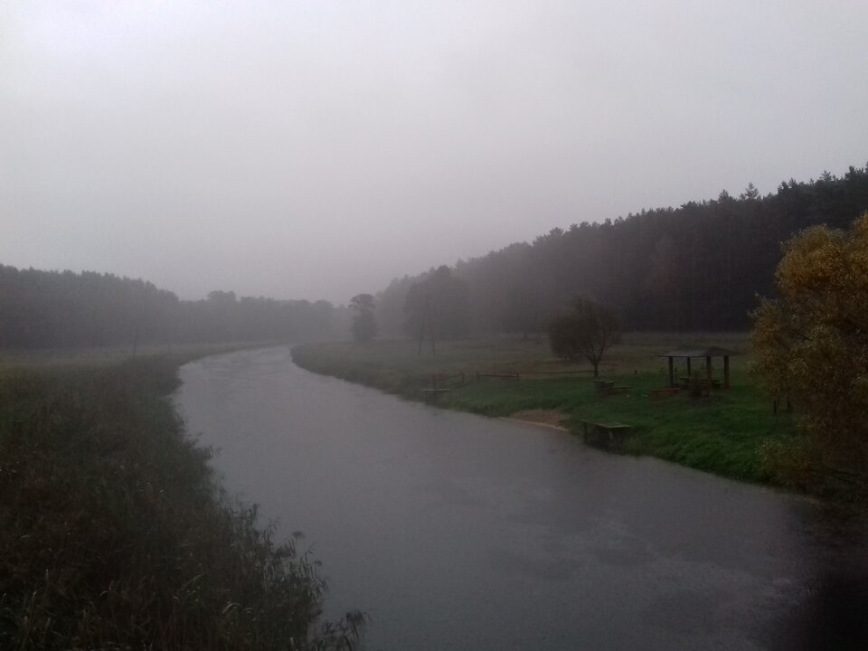 20190927_172820.jpg - torii99