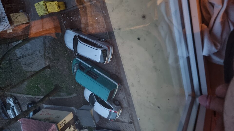 16816160271917542912559247965910.jpg - WyssamCie69