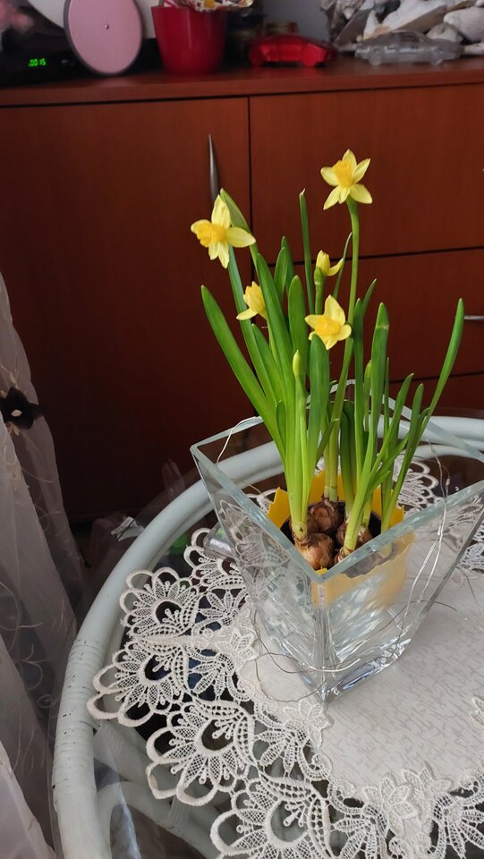 20230416_075726.jpg - wojtas388