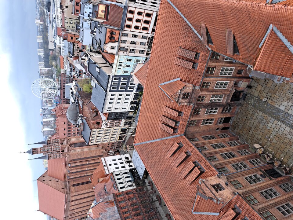 20230415_155431.jpg - DARCMEN19