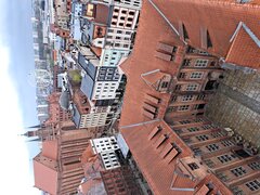 20230415_155431.jpg