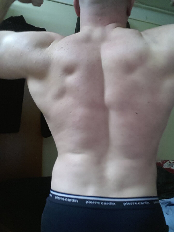 20180221_174232.jpg - harydaw