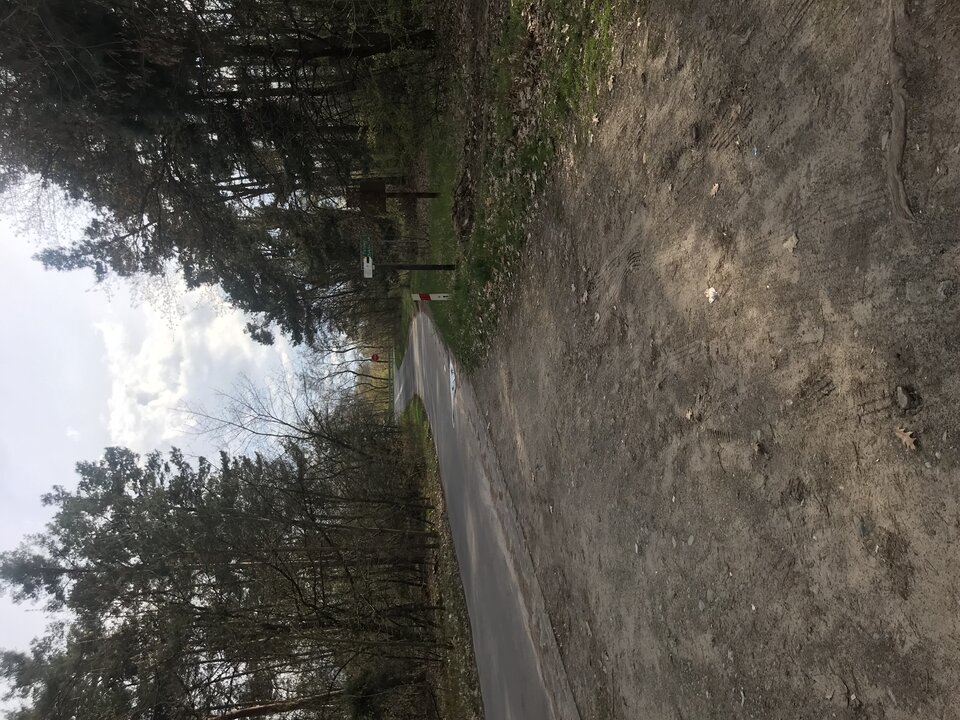 463271ED-E3E9-4E90-8228-70EF317056F7.jpeg - OgierDlaCiebie34