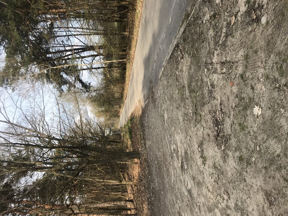 2048E7B9-314C-4CE1-8720-AC5D6C500066.jpeg - OgierDlaCiebie34