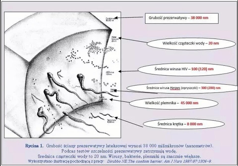 Infografika - 2020ParaBDG