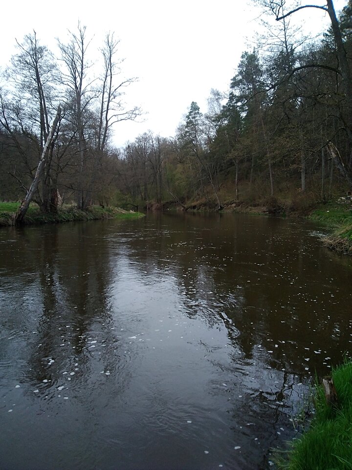 IMG_20230417_123154.jpg - Krzysztof061985