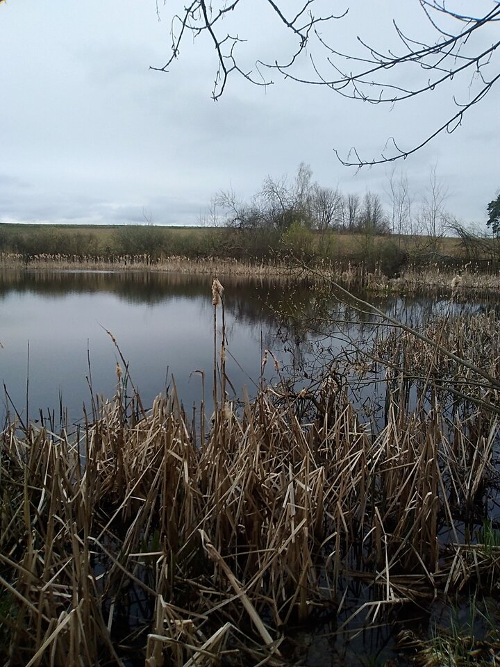 IMG_20230417_134647.jpg - Krzysztof061985