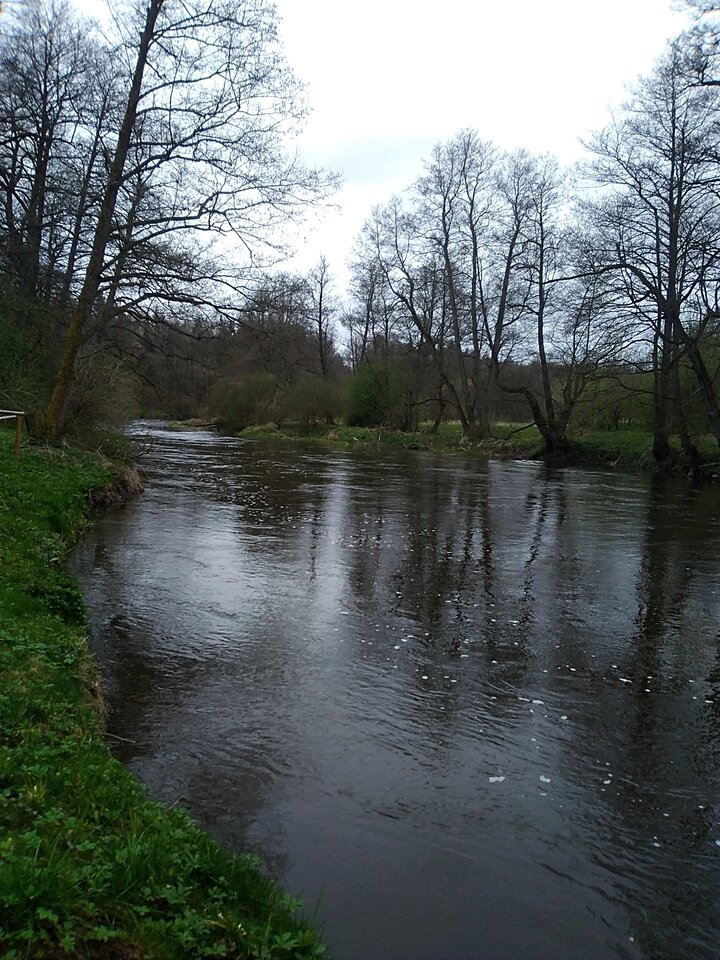 IMG_20230417_123148.jpg - Krzysztof061985