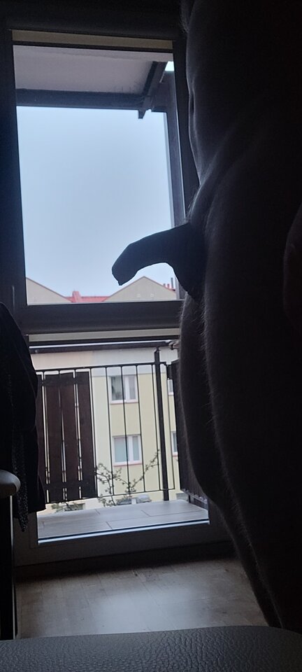 20230417_192722.jpg - jaroo1973