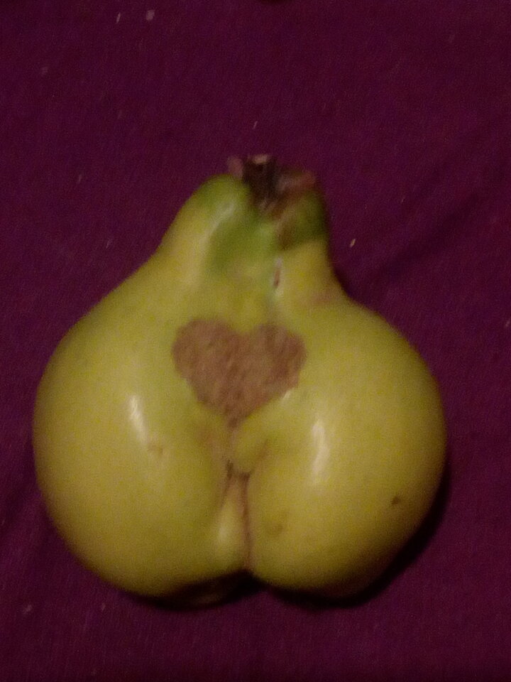 IMG_20171010_204220.jpg - RedWetHot