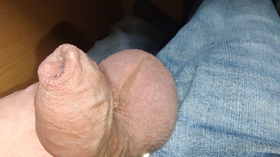 IMG_20230418_153112622.jpg - Fiutkutaschujjaja