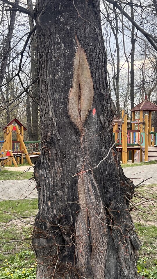 3BBA99BB-C6BB-4795-B608-C15E4353F1F6.jpeg - Rozrabiaka1986