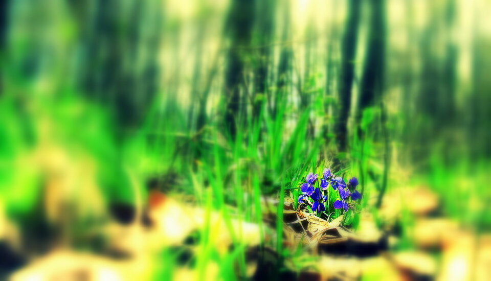 Violent.JPG - demon13