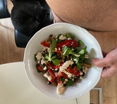 IMG_0304.jpeg