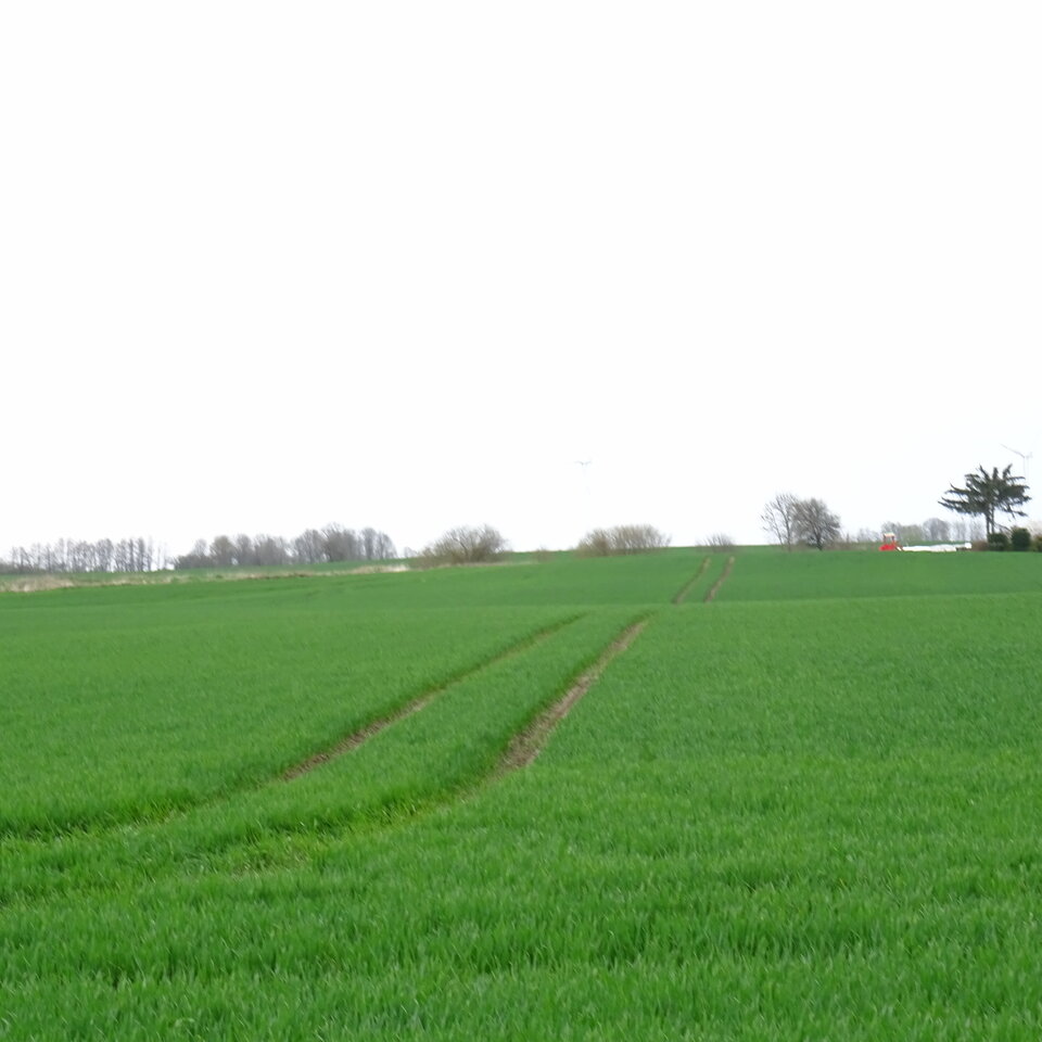 DSC01047.JPG - bojman8