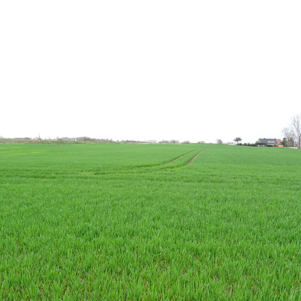 DSC01048.JPG - bojman8