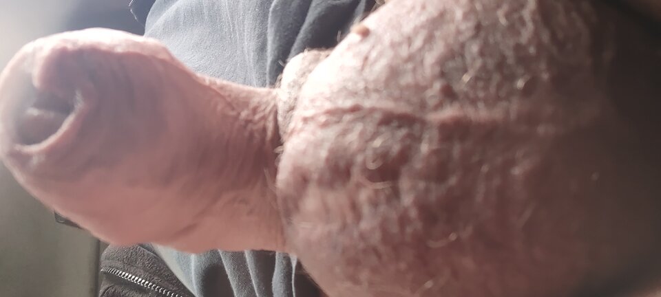 IMG_20230420_080616778.jpg - Bolo0803