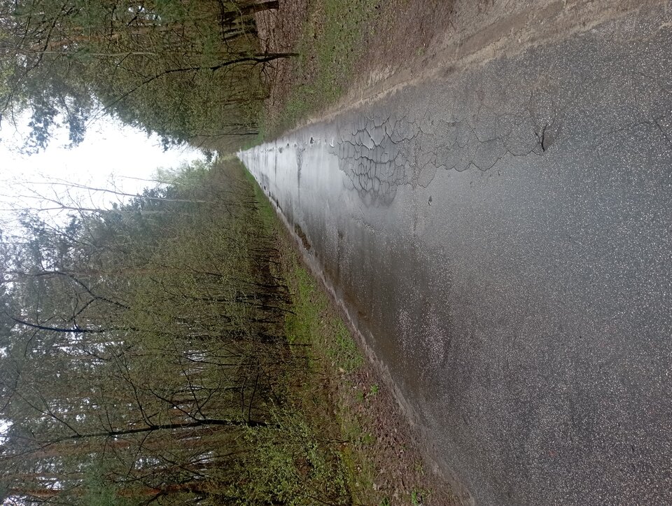 IMG_20230420_094346.jpg - Tezet2023