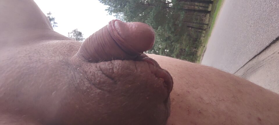 IMG_20230420_123725014.jpg - Bolo0803