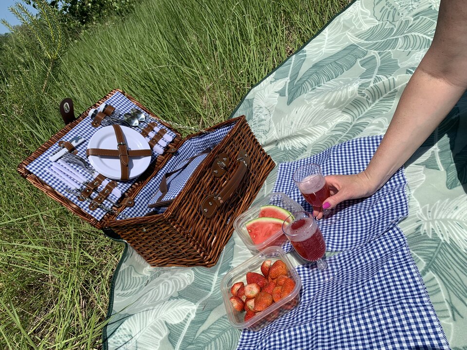 IMG_1839.jpeg - Pan_iPani_Smith