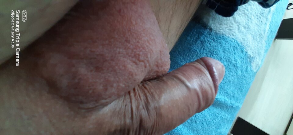 20230420_161030.jpg - haiko