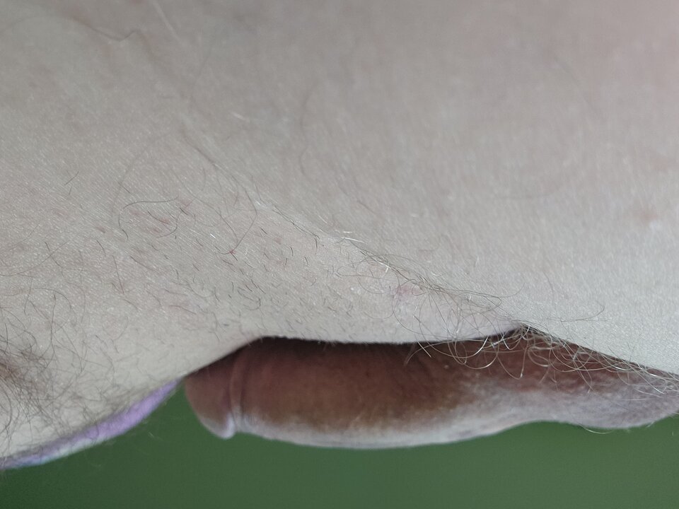 20230420_182255.jpg - TomekMisiek12345