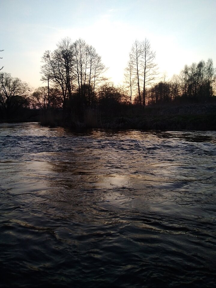 IMG_20230420_195213.jpg - Krzysztof061985