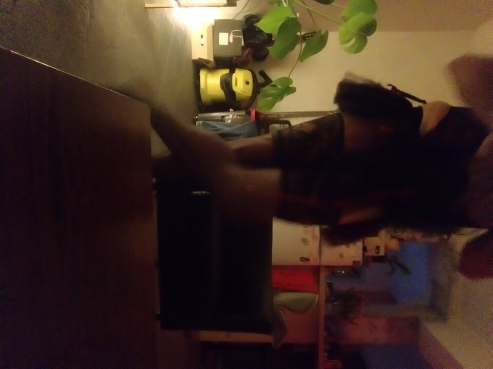 DSC_0026.JPG - BiAdi