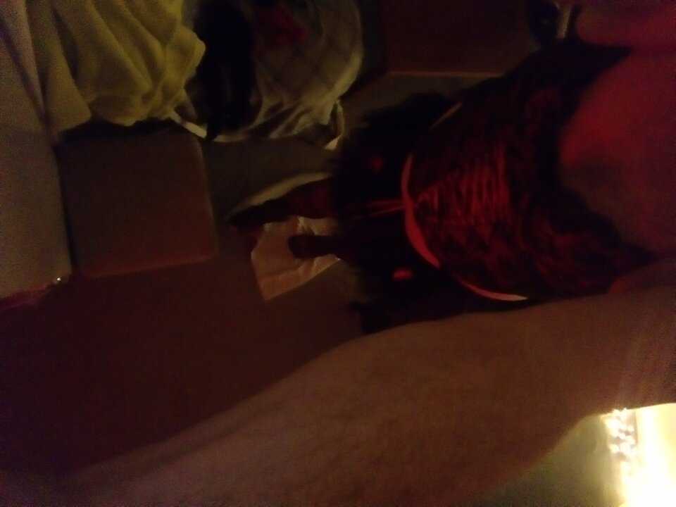 DSC_0023.JPG - BiAdi