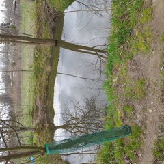 20230415_125453.jpg