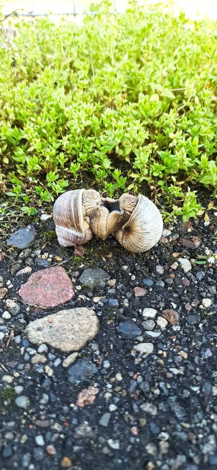 IMG_20230421_084615.jpg - Olek_51