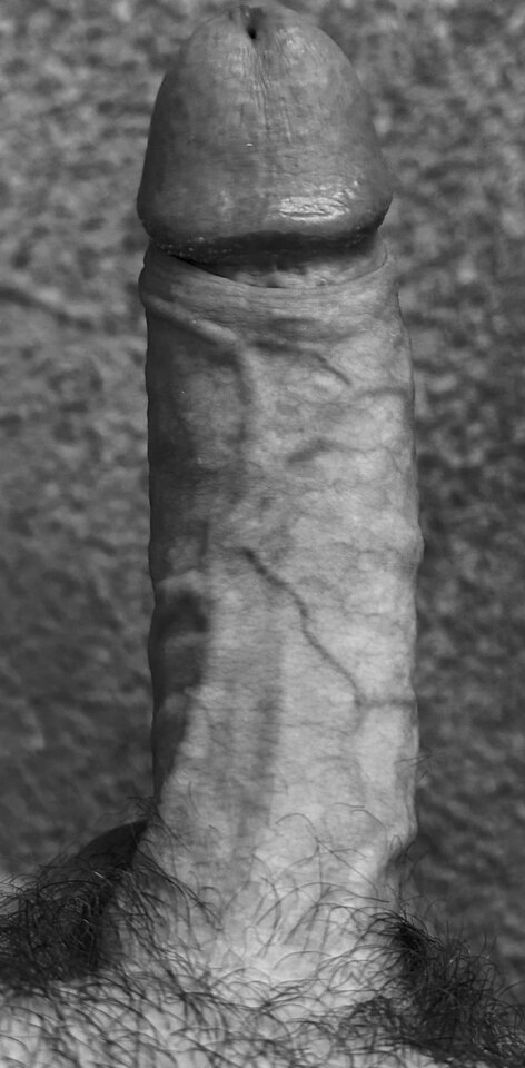 IMG_2258.jpeg - lordnorbi