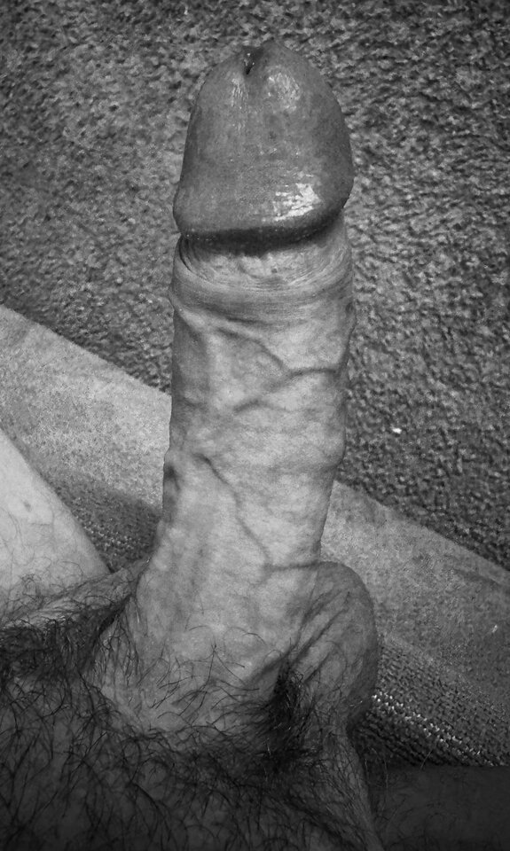 IMG_2257.jpeg - lordnorbi