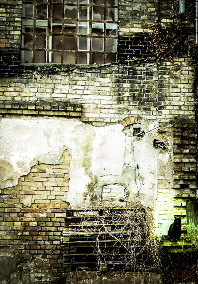 E89FE1E9-77DF-4374-997E-AA64CEBBBAA3.jpg - reddaz