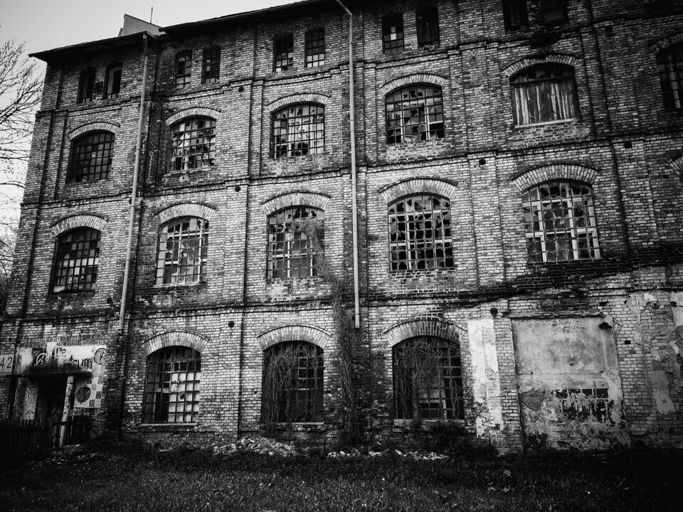 4E7286DE-6974-43B9-B0E2-4F35D02FA6C0.jpg - reddaz