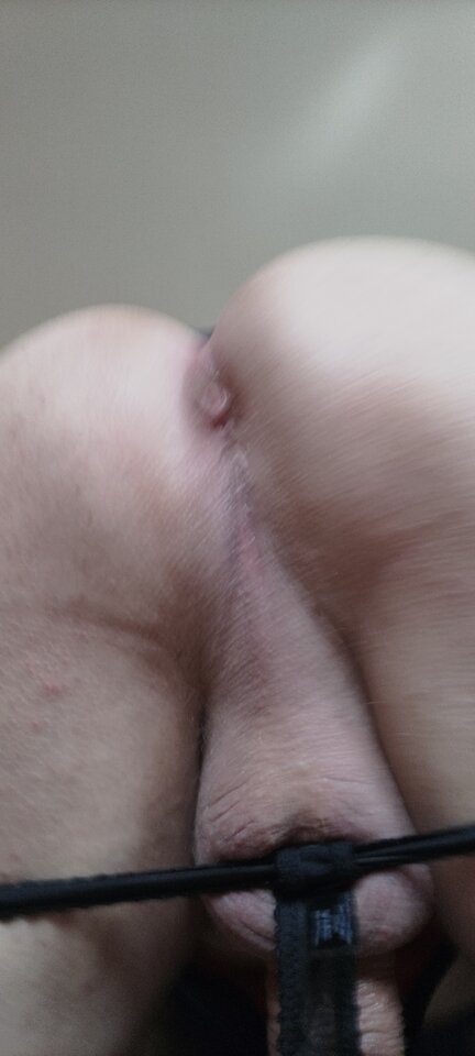 IMG20230421160049.jpg - 19_Niki_79