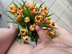 IMG_7116.jpeg