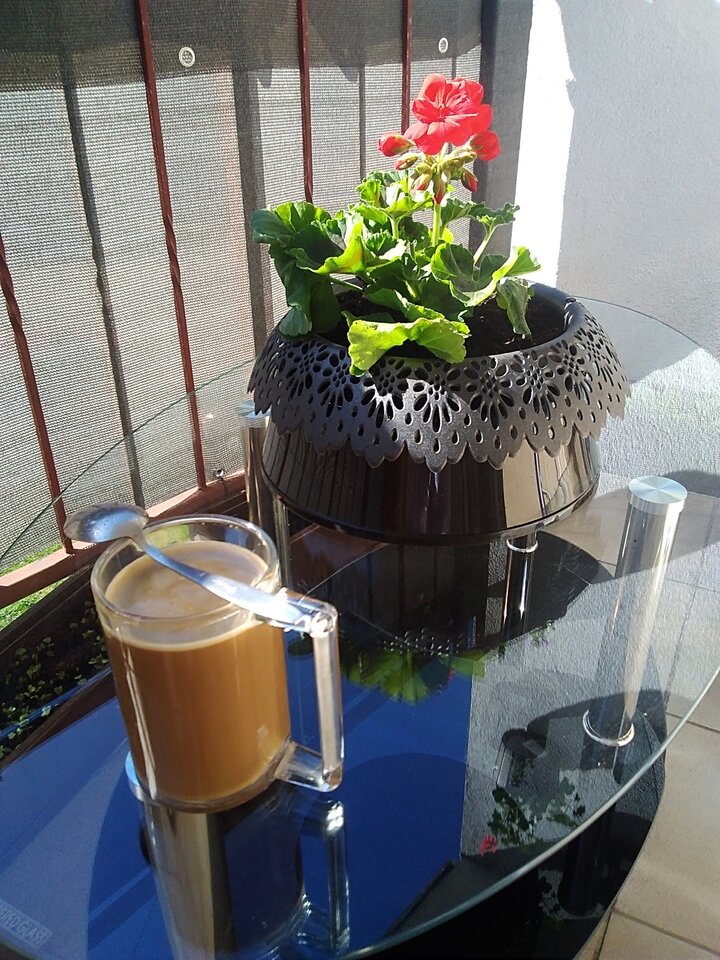 IMG_20230422_100336.jpg - Krzysztof061985