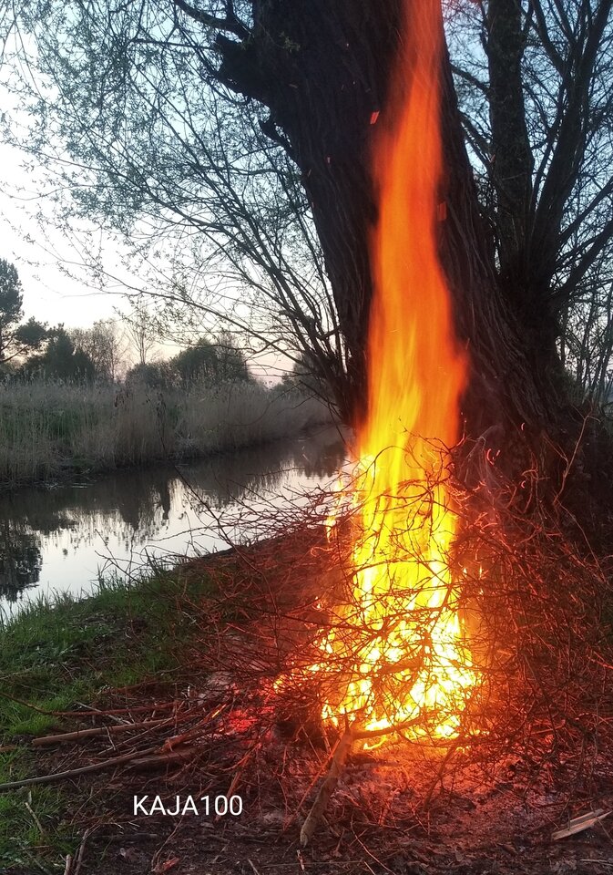 IMG_20230422_201320.jpg - KAJA100