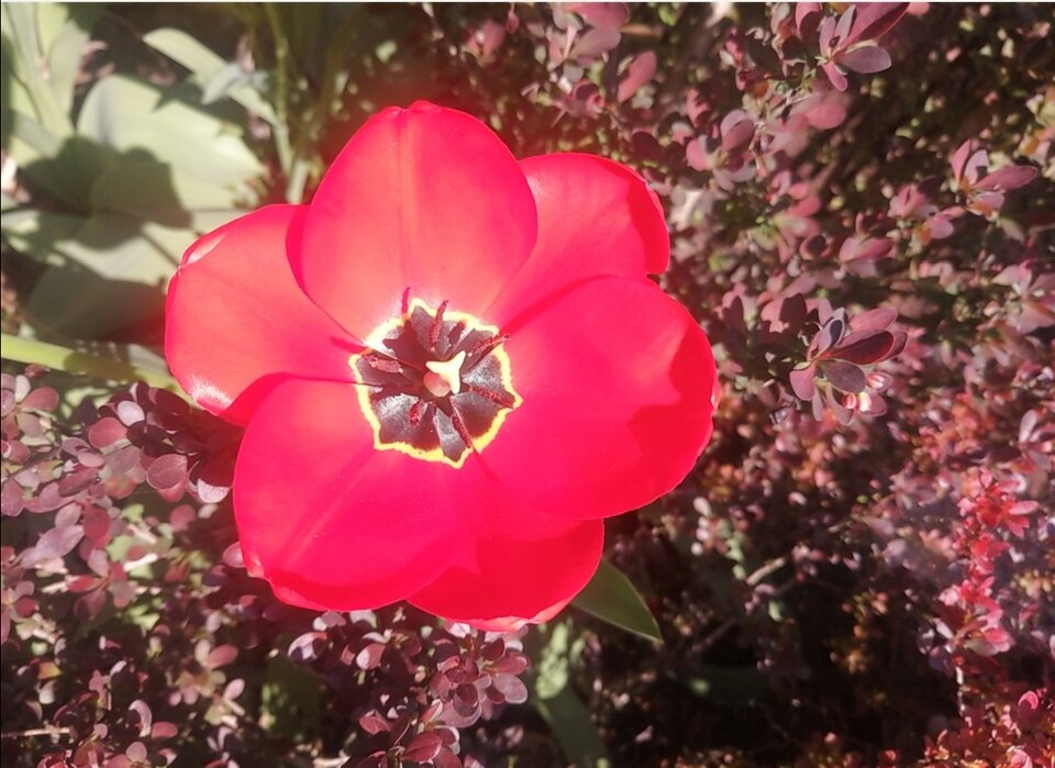 Screenshot_20230423_101455.jpg - Syzyf81