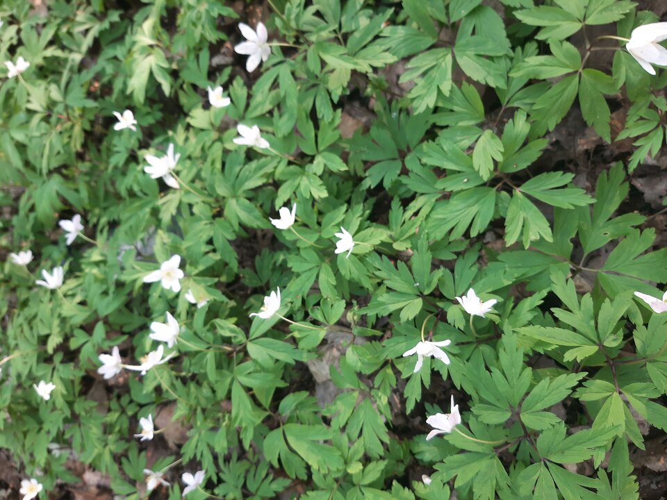 16822646735901322308269992390948.jpg - Glodnisexu1