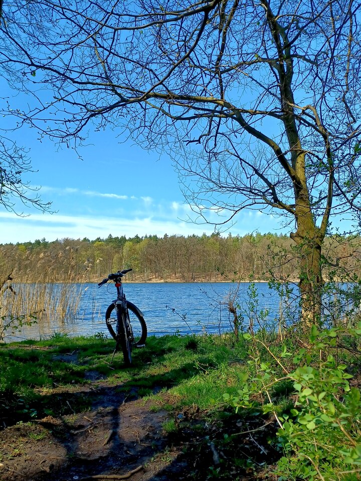 20230423 - Skorpion750